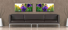 Bilder & Wanddekoration